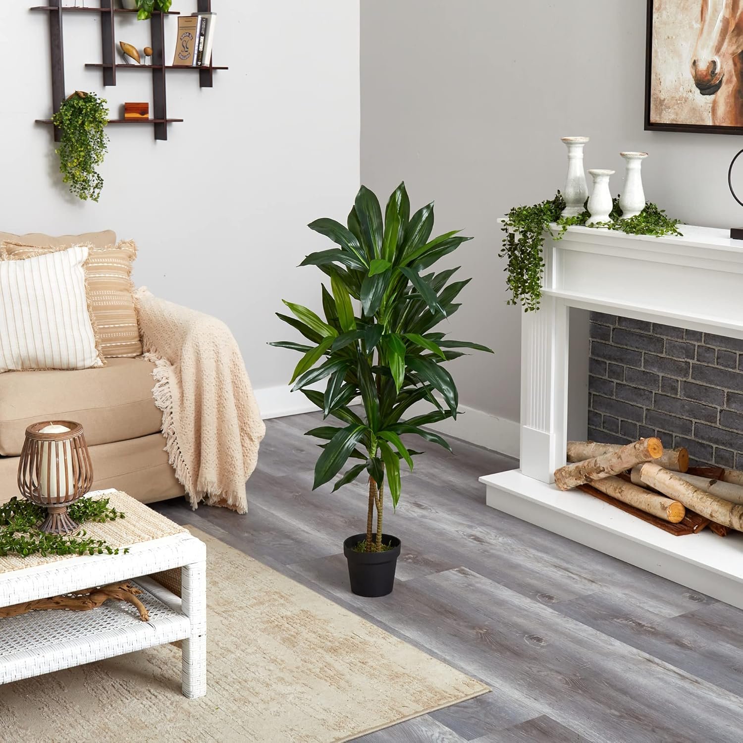 Real Touch Indoor Plant with Decorative Pot for Modern Home Decor - Image 2