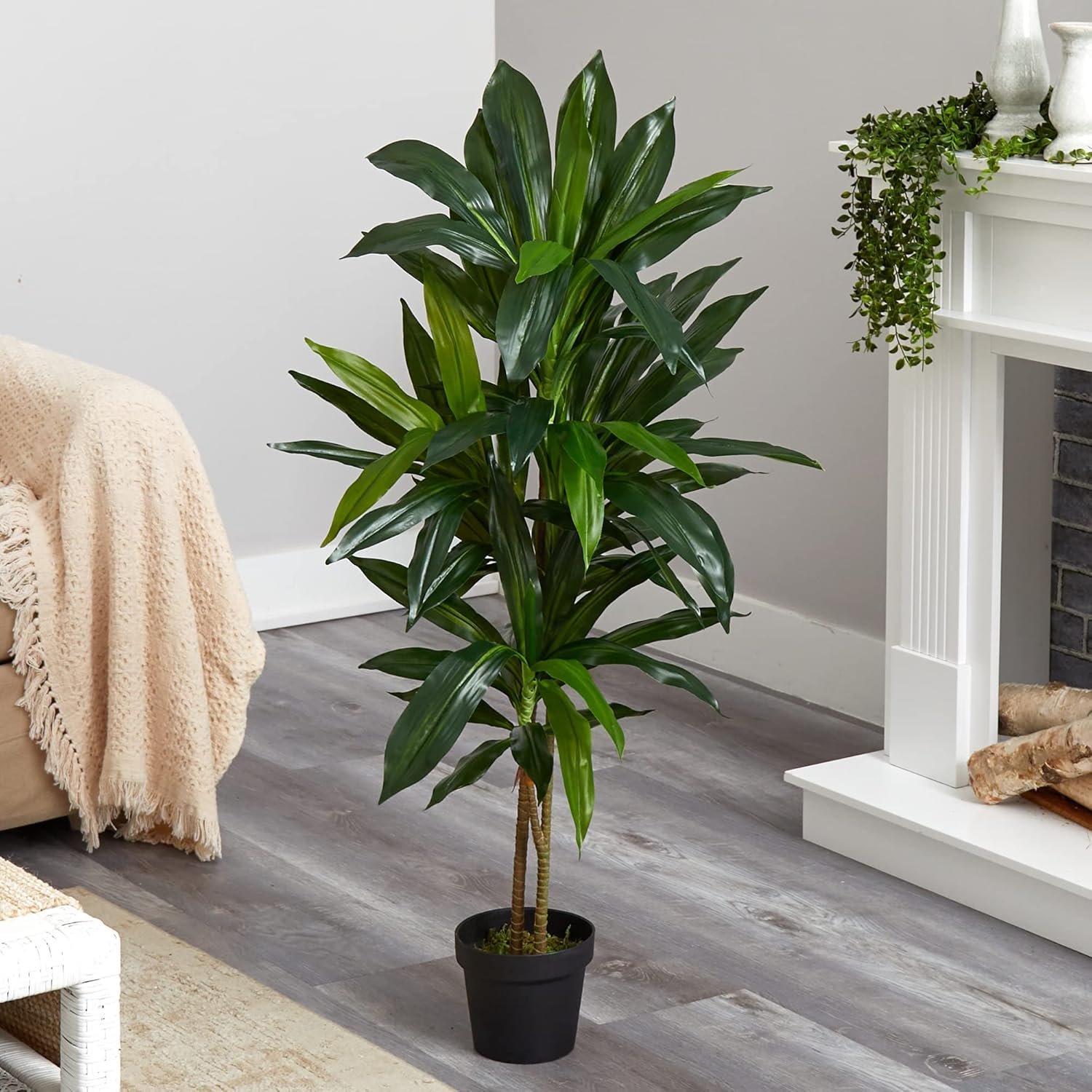 Real Touch Indoor Plant with Decorative Pot for Modern Home Decor - Image 4