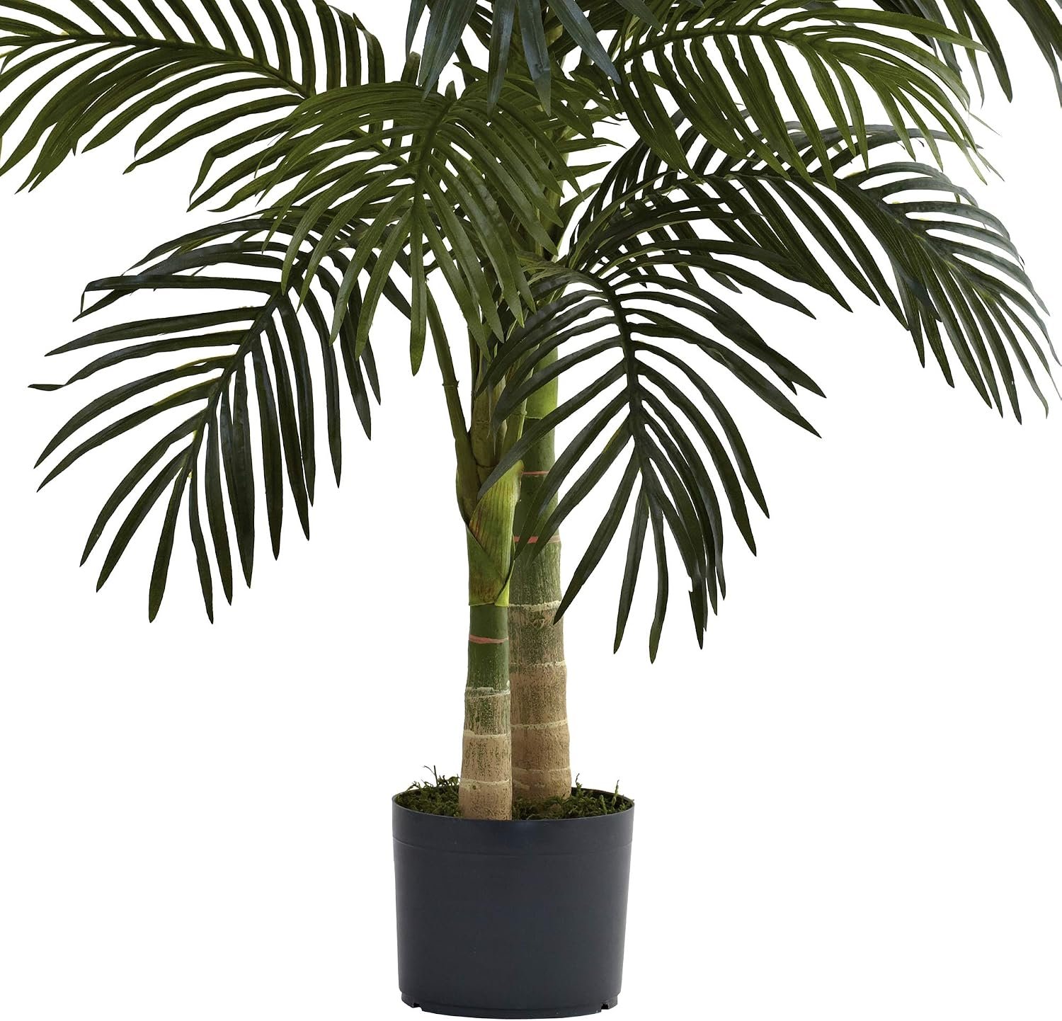 Premium 4ft Faux Golden Cane Palm for Modern Home Decor - Image 2