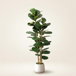 5ft Artificial Fiddle Leaf Fig Tree  with Modern White Planter