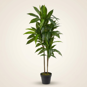 Real Touch Indoor Plant with Decorative Pot for Modern Home Decor