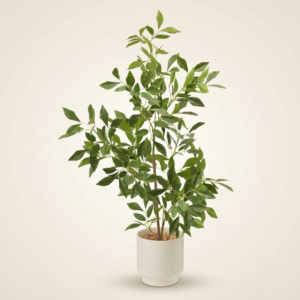 27” Artificial Ficus Plant with Ceramic Planter for Modern Home Decor
